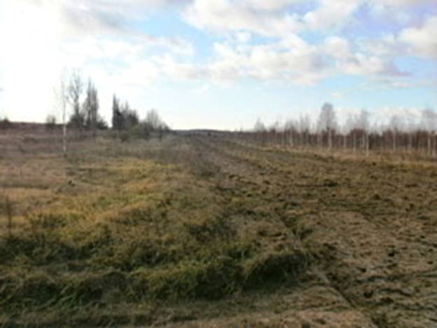 Протипожежні смуги с