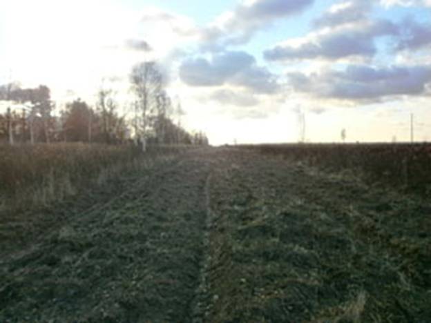 Протипожежні смуги с