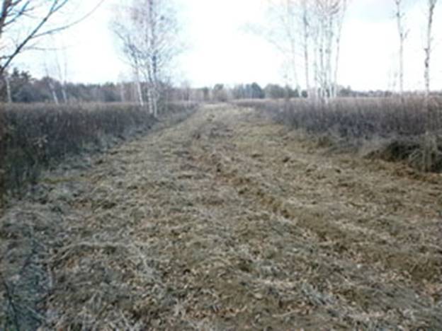 Протипожежні смуги с