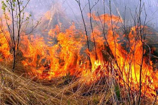 За вихідні на Львівщині виникло півсотні пожеж сухої трави. Відео