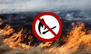 Про заборону спалювання стерні та сухої рослинності. | Маломихайлівська  сільська рада