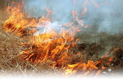 Знову горить суха трава: рятувальники закликають людей не палити ...