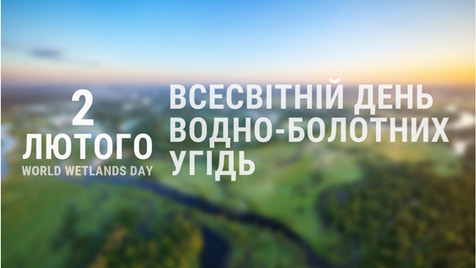 2 лютого - Всесвітній День водно-болотних угідь | Національний екологічний  центр України