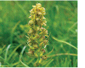 image046
