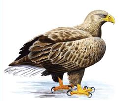 image054