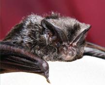 image058